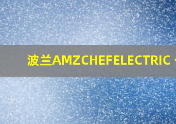 波兰AMZCHEFELECTRIC 公司